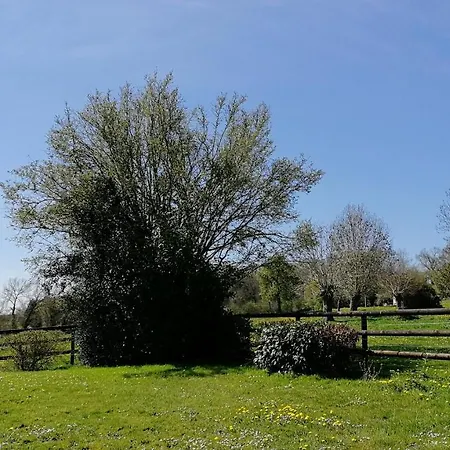 Ferienhaus Le Du Coudray, Avec Sauna *